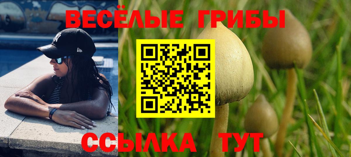 Саяногорск  Псилоцибиновые грибы GOLDEN TEACHER  Вход с VPN 